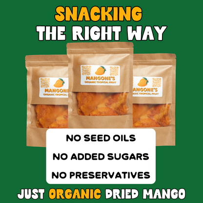 Organic Dried Mango Strips