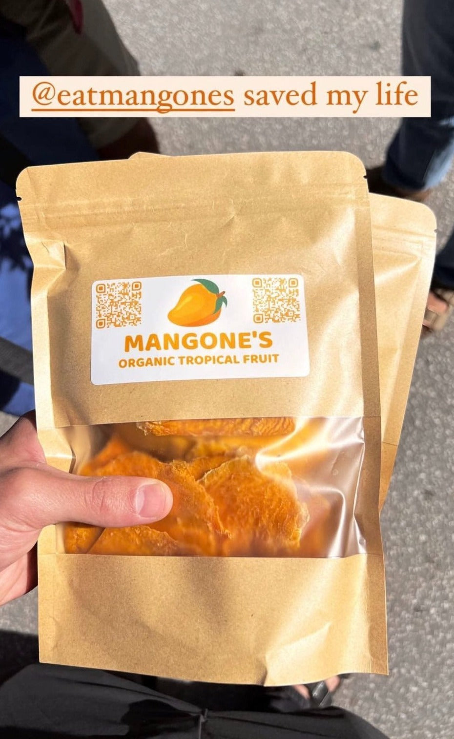 Organic Dried Mango