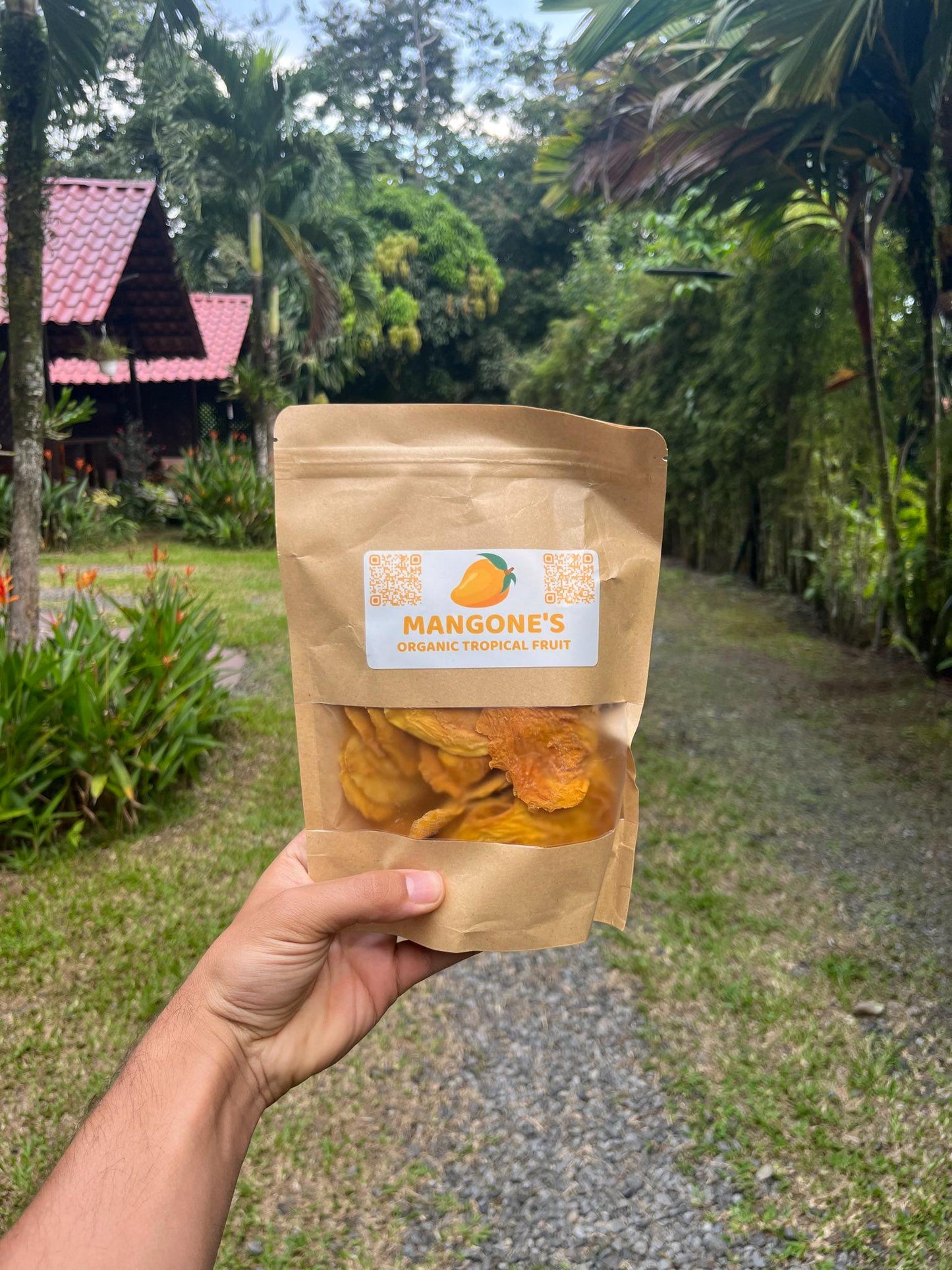 Organic Dried Mango