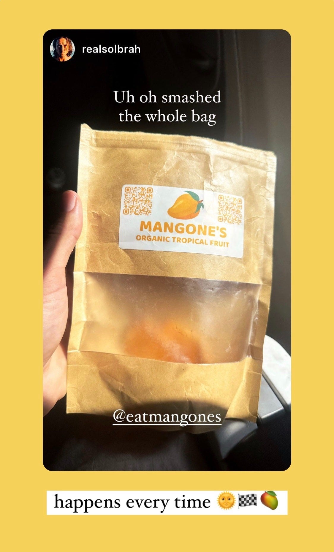 Organic Dried Mango