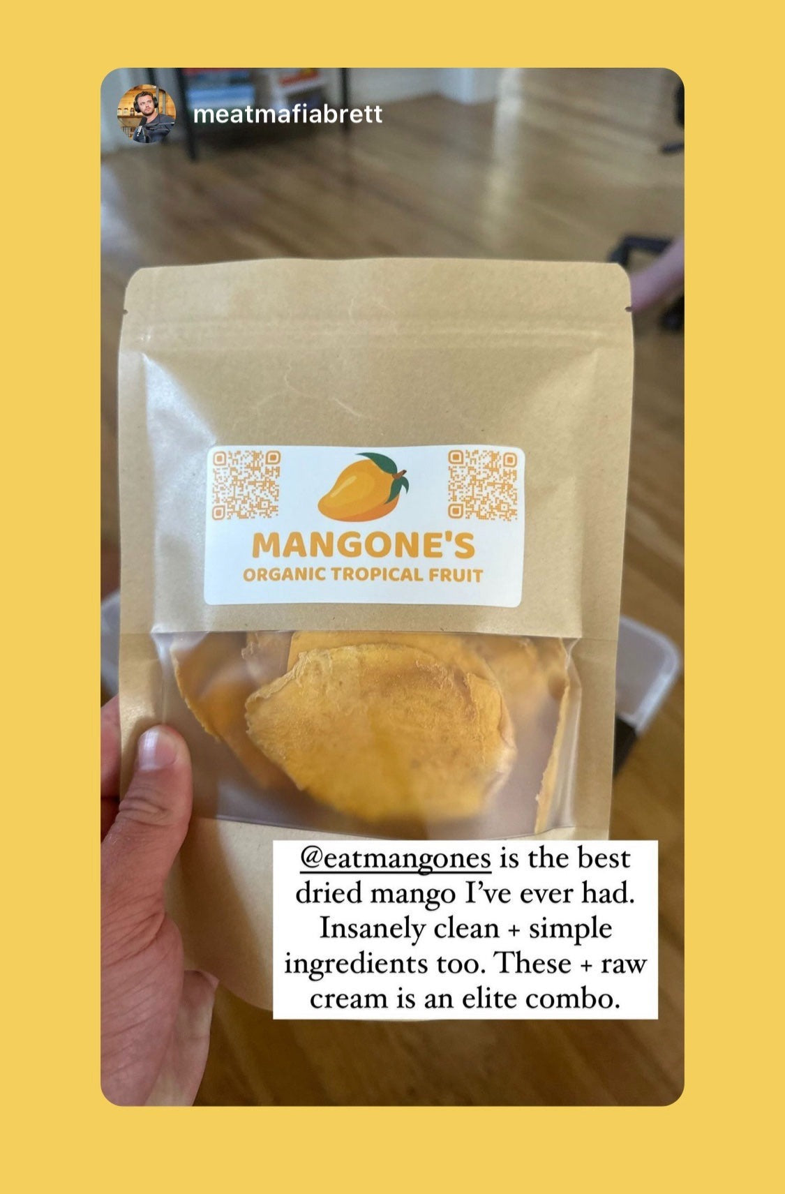 Organic Dried Mango