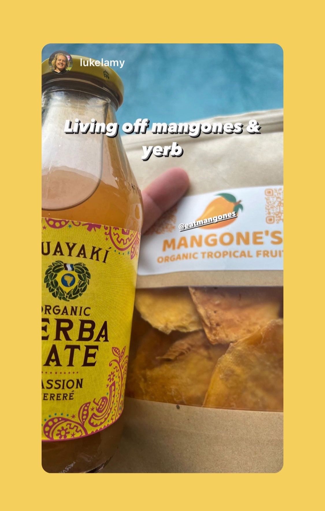 Organic Dried Mango